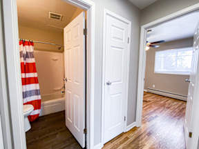A bathroom with a shower curtain that has the American flag on it.