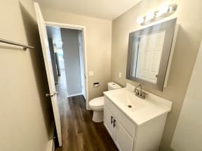 a bathroom with a sink and a toilet and a mirror