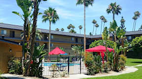 A pool surrounded by red umbrellas and palm trees.