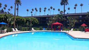A pool surrounded by palm trees and red umbrellas.
