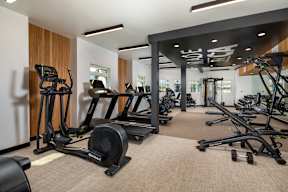 A gym with a variety of exercise equipment including treadmills, stationary bikes, and weight machines.