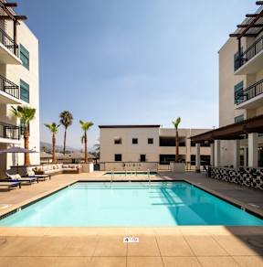 A swimming pool in front of a white building with palm trees in the background.