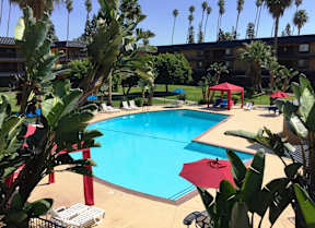 A pool surrounded by palm trees and red umbrellas.