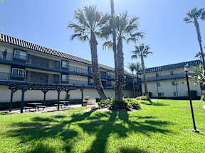 Cozy exterior of Oro Apartments from the interior courtyard with lush greenery, poolside views and shaded picnic seating!