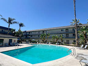 A swimming pool surrounded by palm trees and lounge chairs.