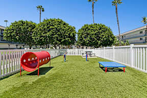 Dog park at Oro with grass and obstacles