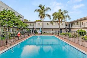 A swimming pool surrounded by a black fence and palm trees.