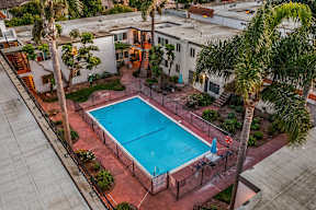 A swimming pool surrounded by a fence and palm trees.