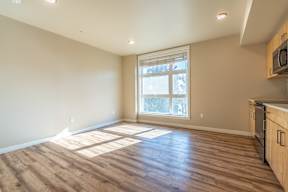 A room with wooden flooring and a window.