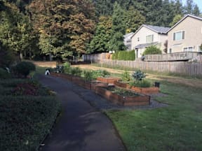 A residential area with a garden and a pathway.