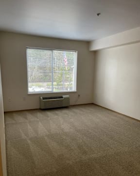 A room with a window and a heater.