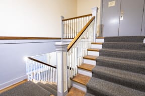 A staircase with a carpeted runner and wooden steps.