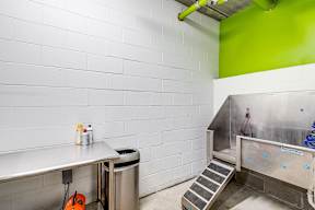 Dog washing station at Zest, Minneapolis, MN, 55419