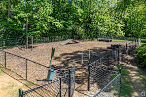 A black fenced area with a green trash can and a brown object in the background.