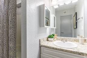 A bathroom with a sink, mirror, and a plant.