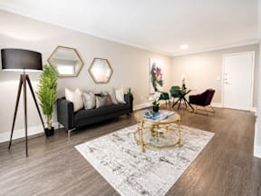 A living room with a black sofa, a gold coffee table, and a grey rug.
