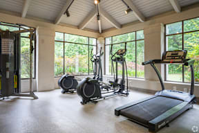 A spacious gym with treadmills, elliptical machines, and a weight rack.