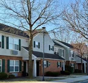 A tree stands in front of a grey house with green shutters.