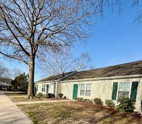 A house with green shutters and a tree in front.