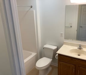 a bathroom with a sink toilet and bathtub