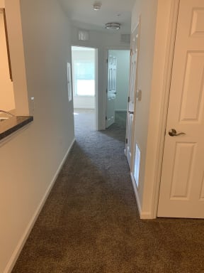 a hallway with a carpeted floor and a white door