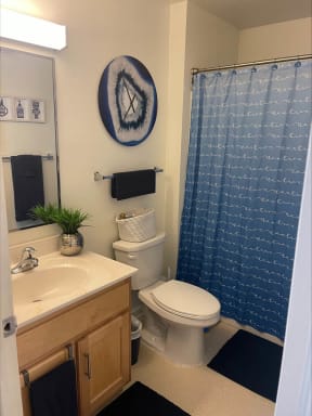 a small bathroom with a blue shower curtain