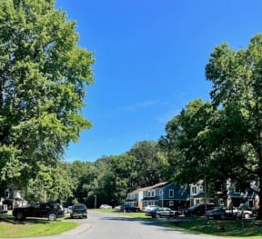 a street with houses and trees on both sides
