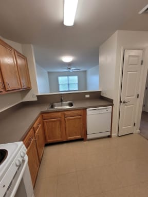 a kitchen with a sink and a dishwasher
