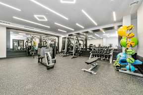 a gym with cardio equipment and weights on the floor