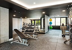 A gym with a bench, weights, and exercise balls.