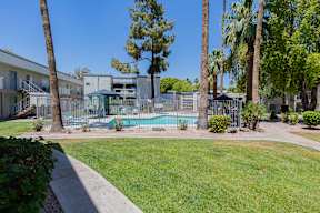 A swimming pool surrounded by palm trees and apartment buildings at Sofia Apartments, Tempe, 85283