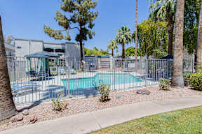 A pool surrounded by a fence and trees at Sofia Apartments, Tempe, 85283