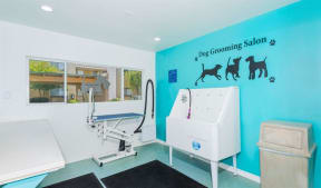 a home gym with a blue wall and a white sink