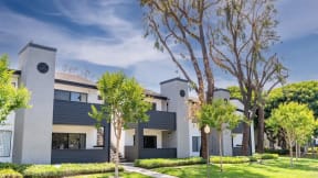 a row of houses with trees in front of them