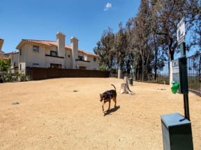 a dog running in a yard in front of a house