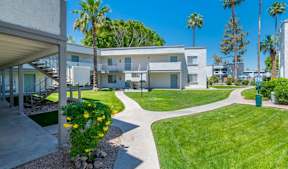 Courtyard at Sofia Apartments, Tempe