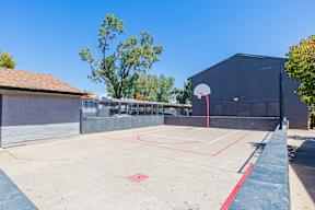 A basketball court with a red line on the ground and a basketball hoop on the right side.
