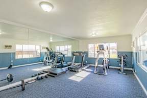A spacious gym with a variety of equipment including treadmills, weight machines, and a bench press.