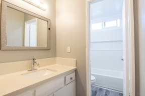 a bathroom with a sink and a mirror and a shower