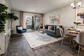 Living room at Sofia Apartments, Arizona