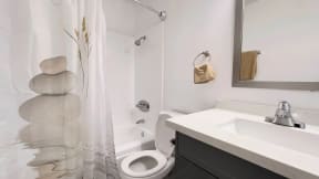 a bathroom with a sink and a toilet and a shower