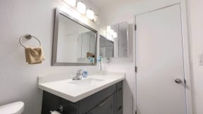a bathroom with a sink and a mirror and a shower