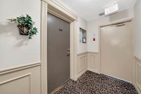 a hallway with two doors and a plant on the wall