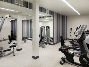 gym with weights and cardio equipment