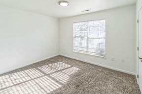 A sunny room with a carpeted floor and a window with blinds.