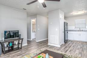 Auburn Interior 1