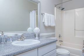 Auburn bathroom 1