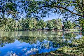 Pond view 1 auburn