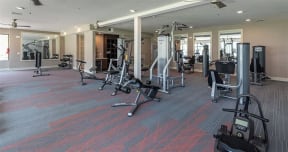 Fitness center with on demand workouts at 2000 West Creek Apartments, Virginia, 23238