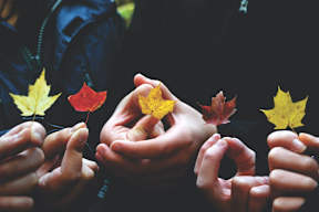a group of people holding autumn leaves in their hands